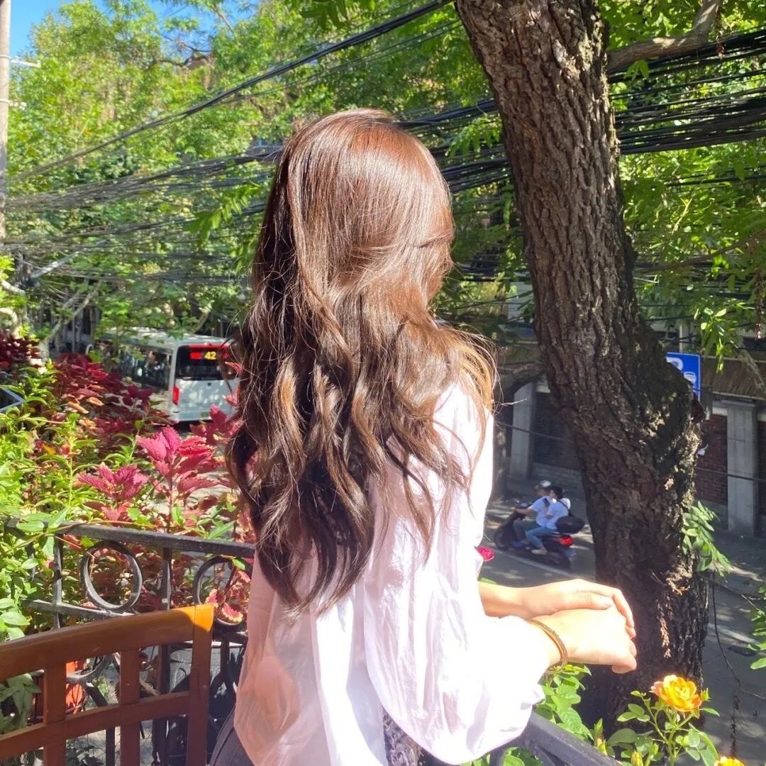 齐木楠雄的灾难 真人版