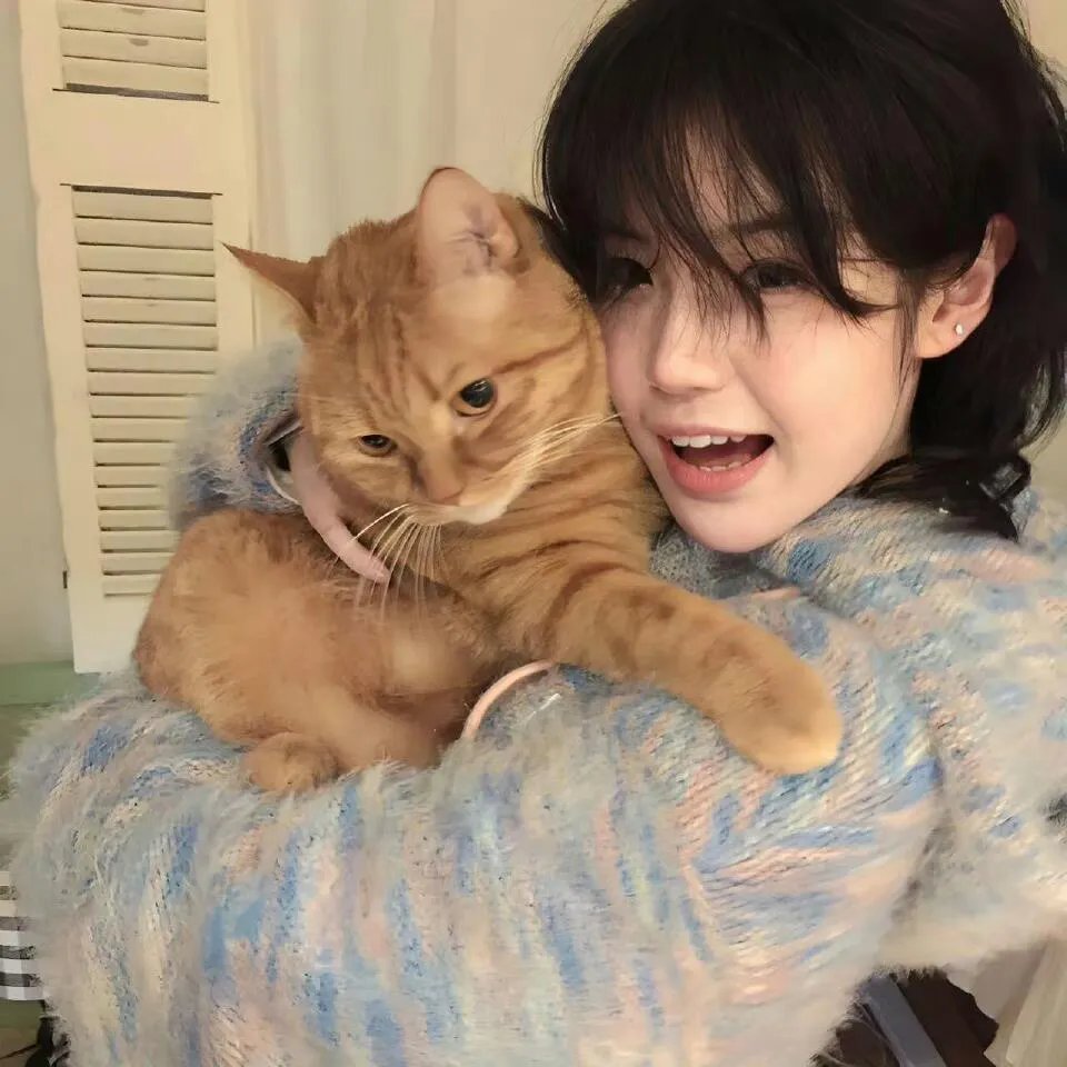 家有儿女之花好月圆